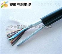 DJF46GPG计算机电缆-特种高温电缆